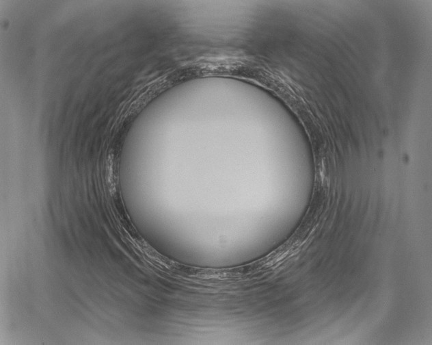 X0000067941396200604131120