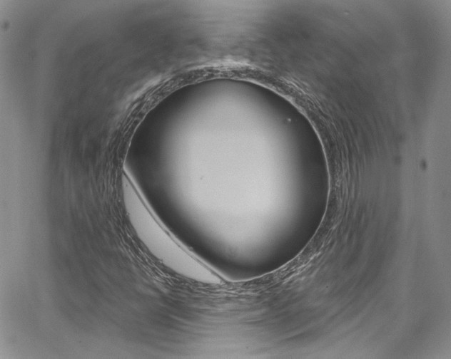 X0000067941398200604131120