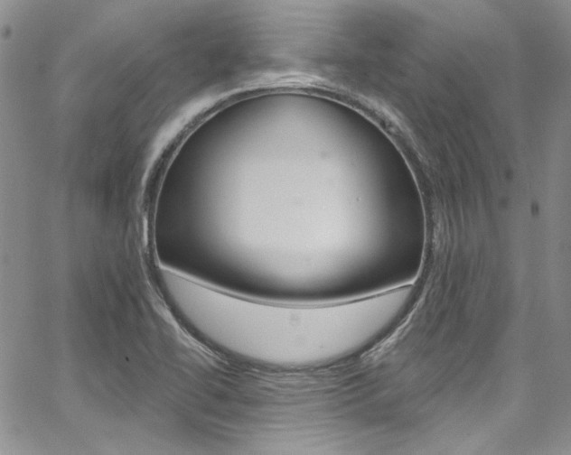 X0000067941414200604131120