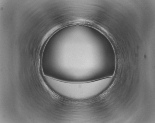 X0000067941418200604131120