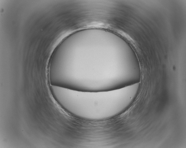 X0000067941423200604131120