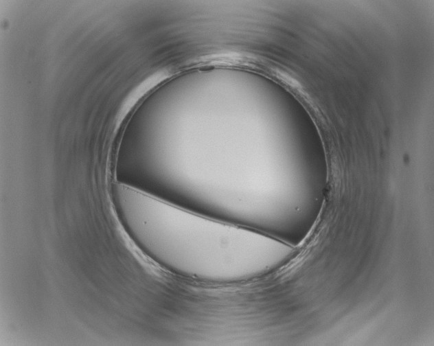 X0000067941426200604131120
