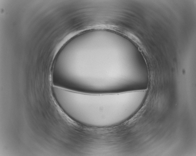 X0000067941428200604131120