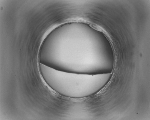 X0000067941440200604131120