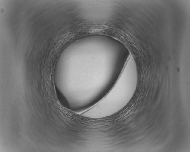 X0000067941441200604131119