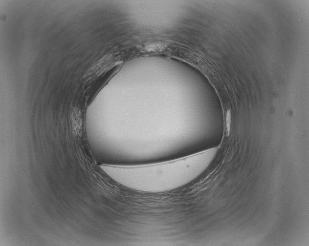 X0000067941443200604131119