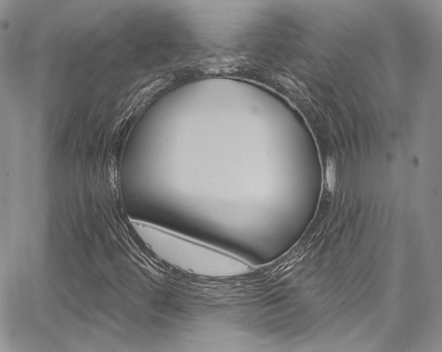 X0000067941444200604131119