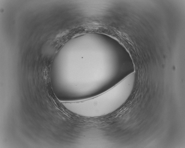 X0000067941445200604131119