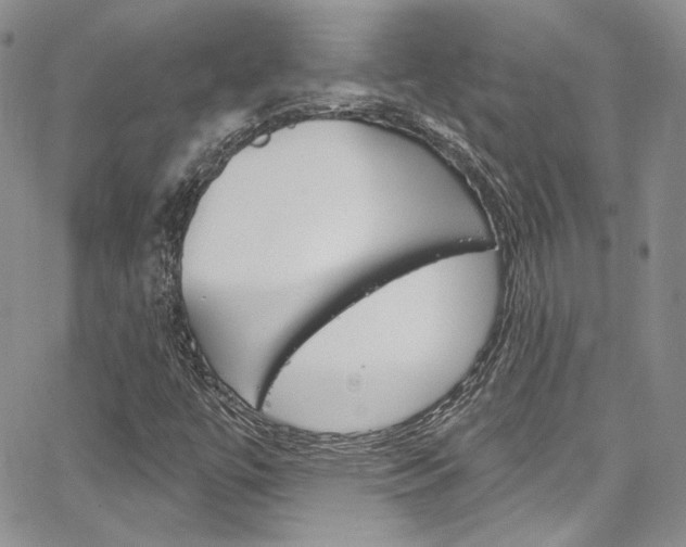 X0000067941447200604131119