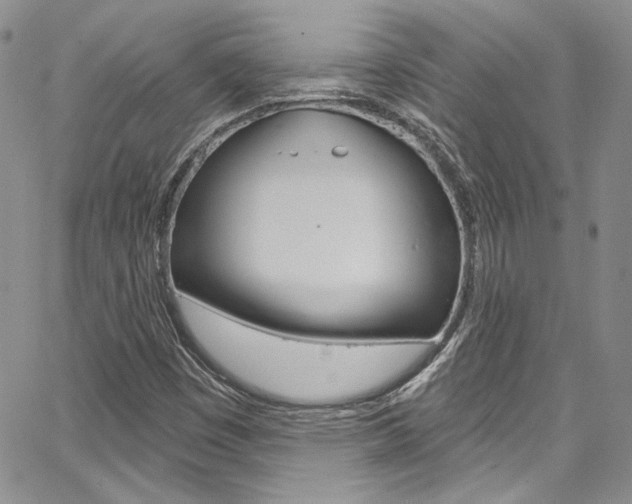 X0000067941449200604131119