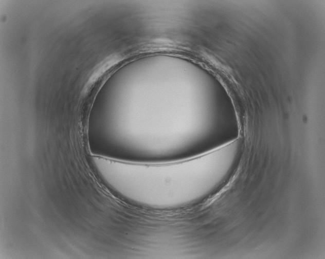 X0000067941453200604131119