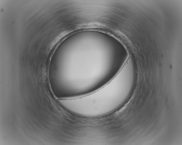 X0000067941457200604131119