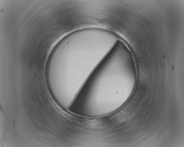 X0000067941460200604131119