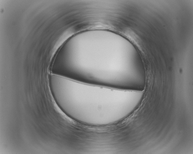 X0000067941476200604131119