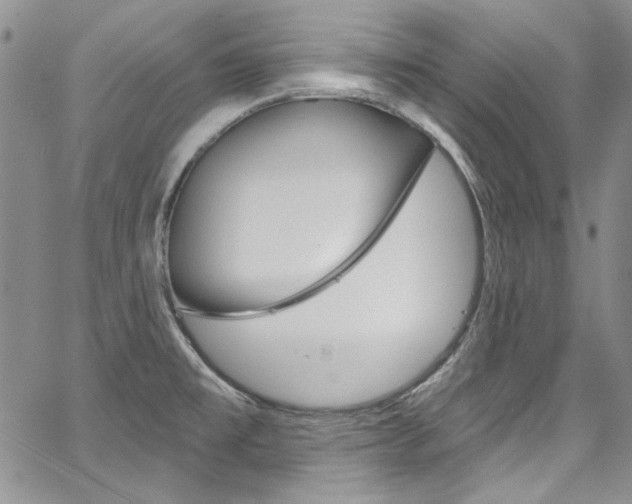 X0000067941477200604131119