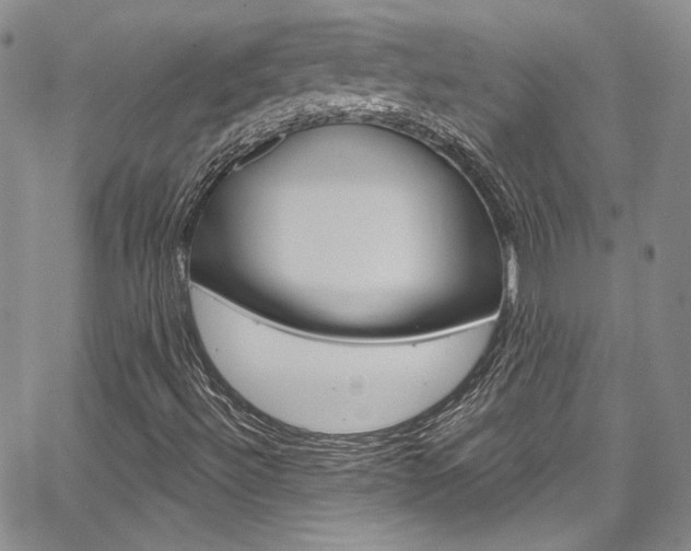 X0000067941492200604131118