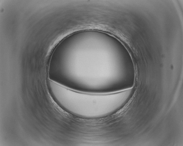X0000067941500200604131118