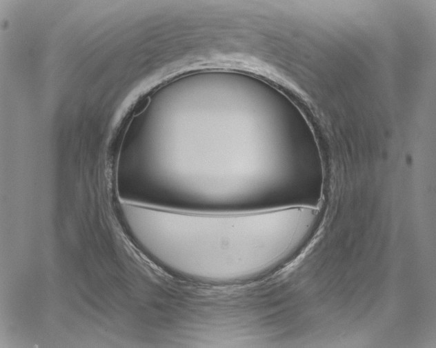 X0000067941506200604131118