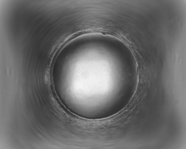X0000067940002200604131501