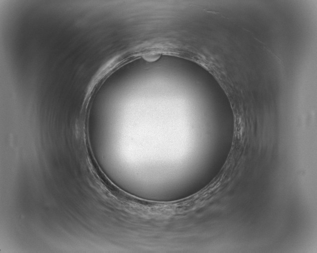 X0000067940004200604131501