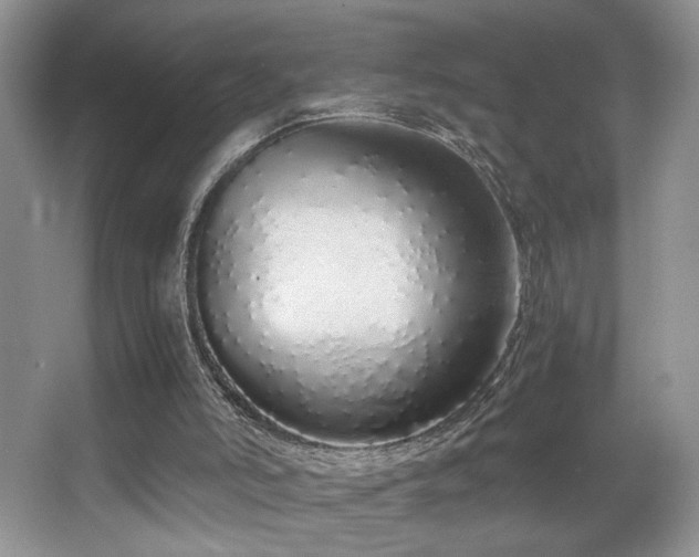 X0000067940006200604131501