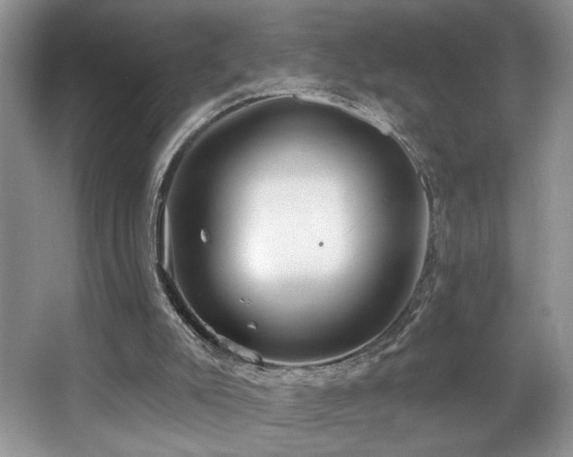 X0000067940007200604131501