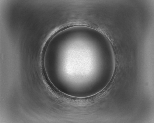 X0000067940008200604131501