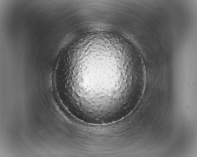 X0000067940010200604131501