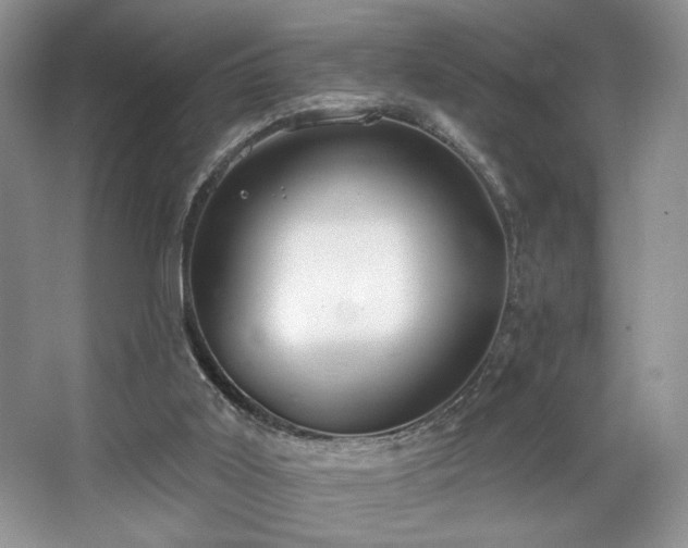 X0000067940011200604131501