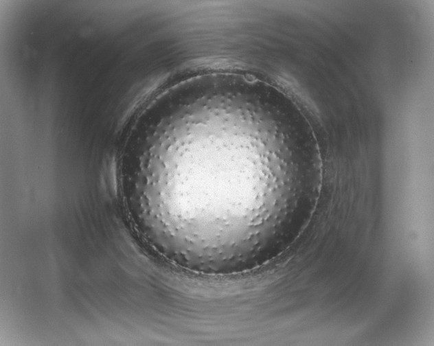 X0000067940014200604131500