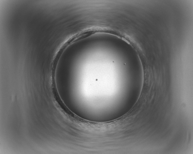 X0000067940015200604131500