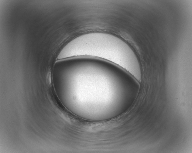 X0000067940021200604131500