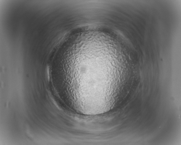 X0000067940022200604131500
