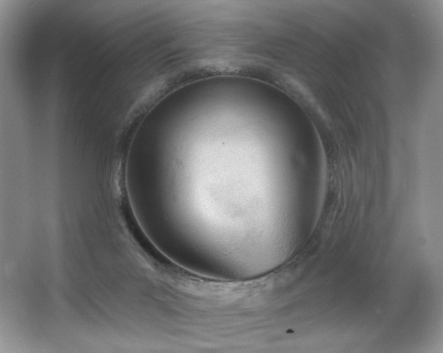 X0000067940023200604131500