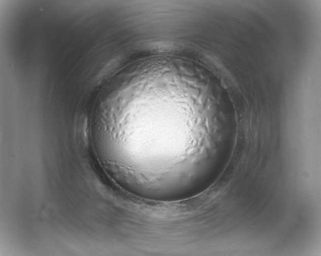 X0000067940024200604131500
