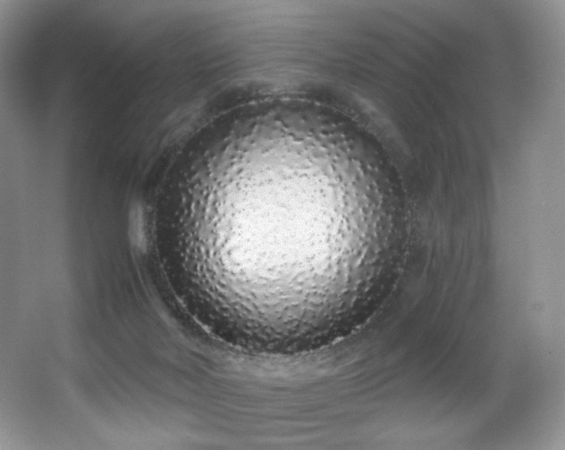 X0000067940026200604131500