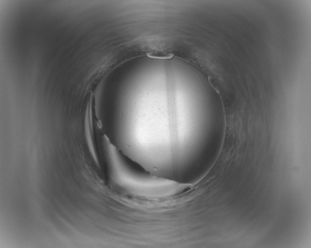X0000067940027200604131500