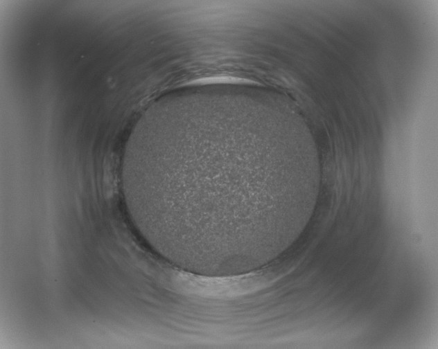 X0000067940030200604131500