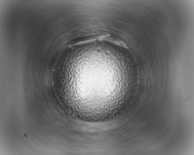 X0000067940034200604131500