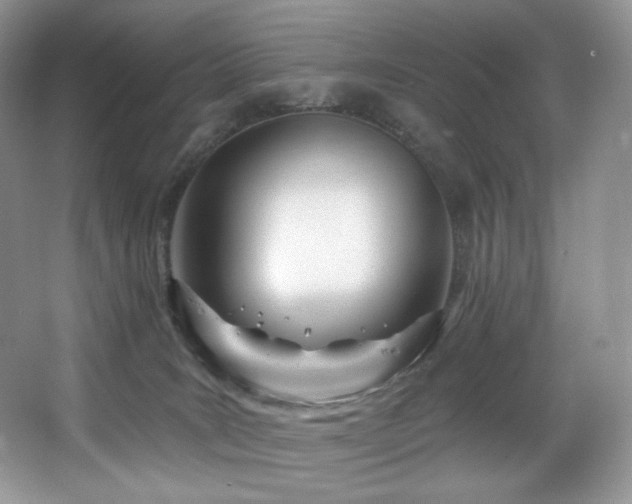 X0000067940035200604131500