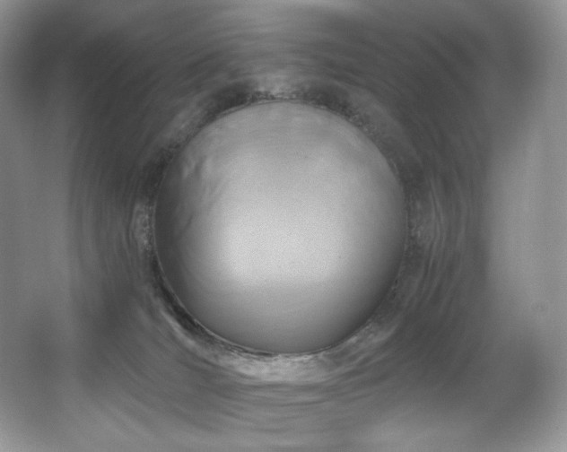 X0000067940036200604131500