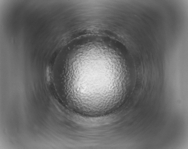 X0000067940038200604131500