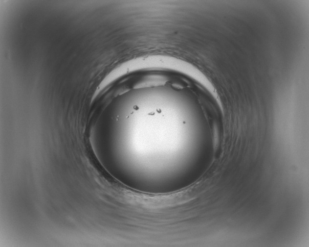 X0000067940039200604131500