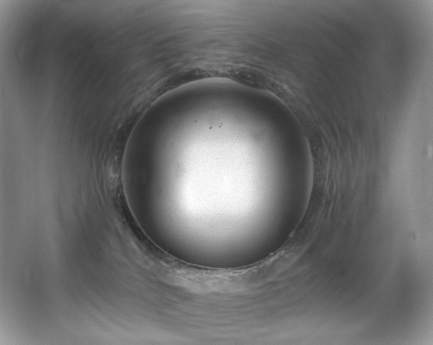 X0000067940040200604131500