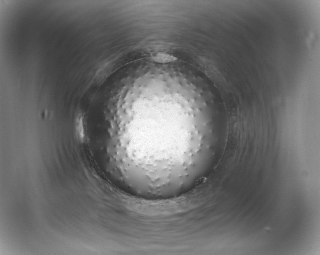 X0000067940042200604131500