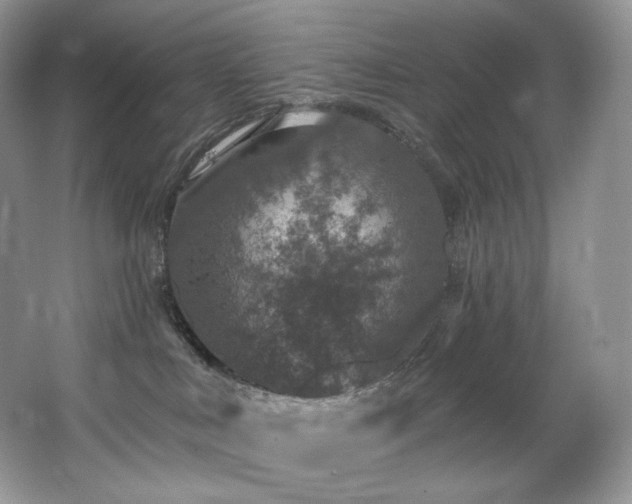 X0000067940043200604131500