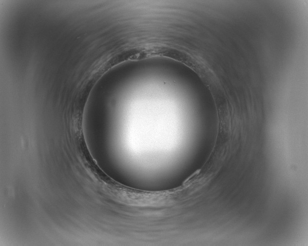 X0000067940044200604131500