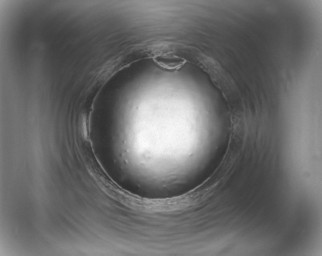 X0000067940046200604131500