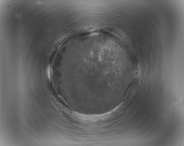X0000067940047200604131500