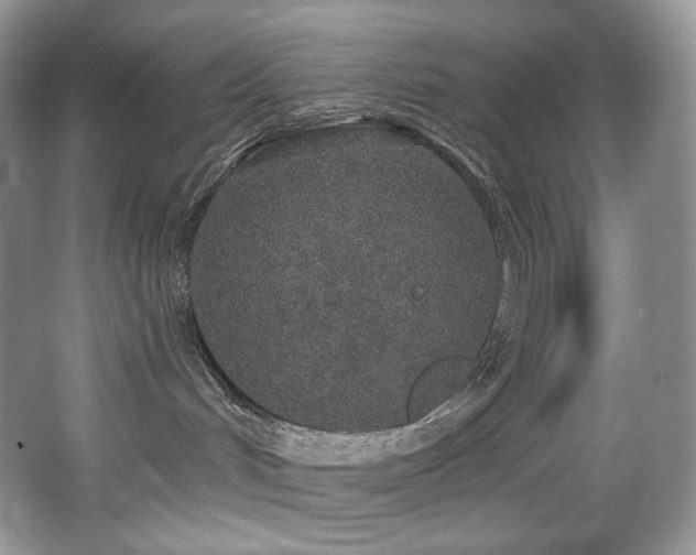 X0000067940048200604131500